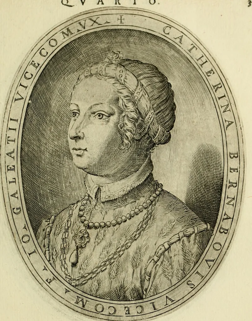 An illustration from Cremona fedelissima citta et nobilissima colonia de Romani, 1642, leaf 268