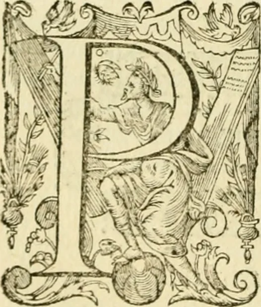 An illustration from Cremona fedelissima citta et nobilissima colonia de Romani, 1642, leaf 77
