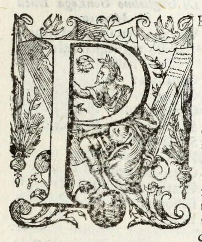 An illustration from Cremona fedelissima citta, et nobilissima colonia de Romani : rappresentata in disegno col suo contato et illustrata d'vna breue historia delle cose piu notabili appartenenti ad essa, et dei ritratti naturali de duchi et duchesse di Milano, e compendio delle lor vite, 1645, leaf 253