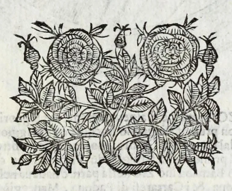 An illustration from Cremona fedelissima citta, et nobilissima colonia de Romani : rappresentata in disegno col suo contato et illustrata d'vna breue historia delle cose piu notabili appartenenti ad essa, et dei ritratti naturali de duchi et duchesse di Milano, e compendio delle lor vite, 1645, leaf 277