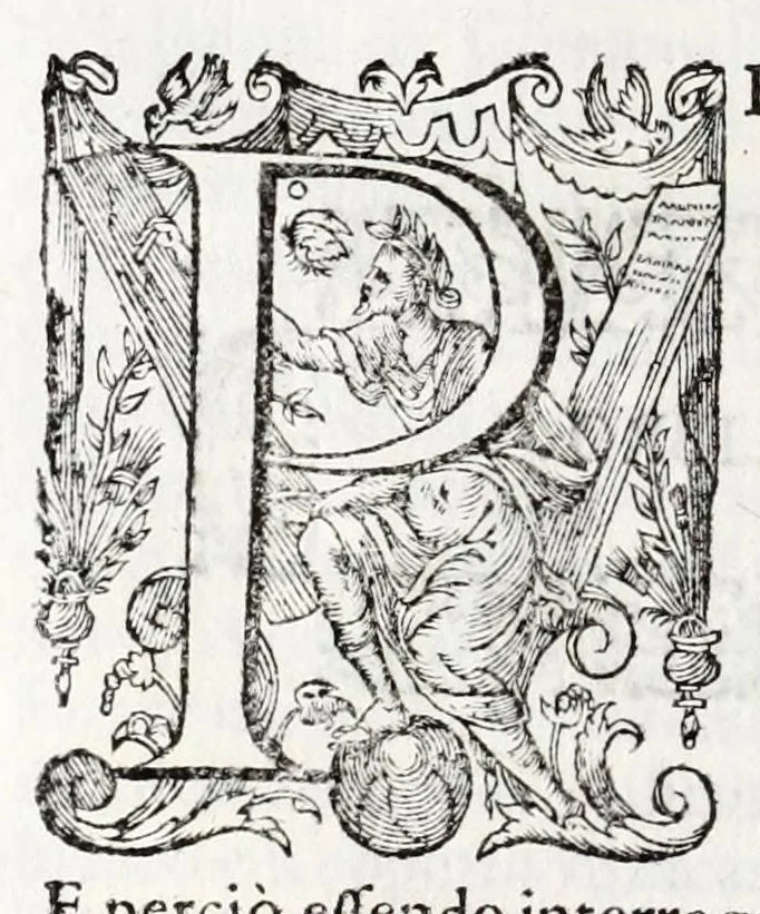 An illustration from Cremona fedelissima citta, et nobilissima colonia de Romani : rappresentata in disegno col suo contato et illustrata d'vna breue historia delle cose piu notabili appartenenti ad essa, et dei ritratti naturali de duchi et duchesse di Milano, e compendio delle lor vite, 1645, leaf 88