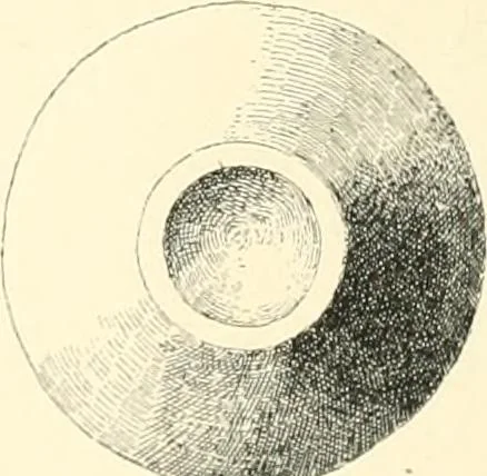 An illustration from Cretan pictographs and prae-Phoenician script. With an account of a sepulchral deposit at Hagios Onuphrios near Phaestos in its relation primitive Cretan and Aegean culture, 1895, leaf 125