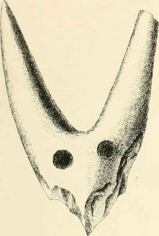 An illustration from Cretan pictographs and prae-Phoenician script. With an account of a sepulchral deposit at Hagios Onuphrios near Phaestos in its relation primitive Cretan and Aegean culture, 1895, leaf 126
