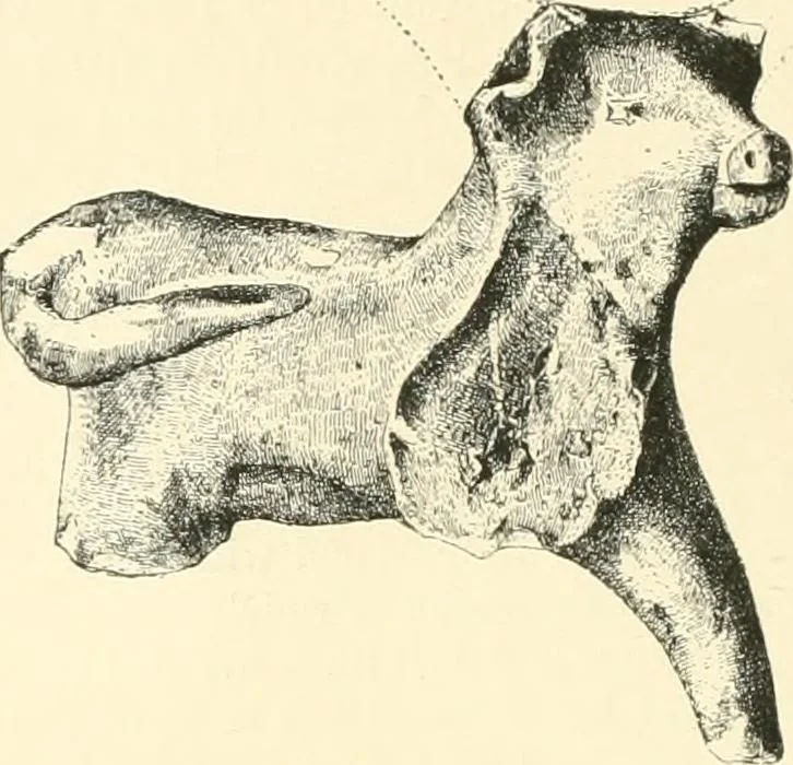 An illustration from Cretan pictographs and prae-Phoenician script. With an account of a sepulchral deposit at Hagios Onuphrios near Phaestos in its relation primitive Cretan and Aegean culture, 1895, leaf 21