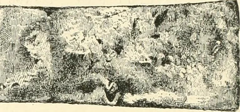 An illustration from Cretan pictographs and prae-Phoenician script. With an account of a sepulchral deposit at Hagios Onuphrios near Phaestos in its relation primitive Cretan and Aegean culture, 1895, leaf 23