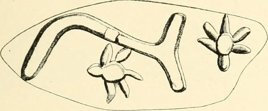 An illustration from Cretan pictographs and prae-Phoenician script. With an account of a sepulchral deposit at Hagios Onuphrios near Phaestos in its relation primitive Cretan and Aegean culture, 1895, leaf 30