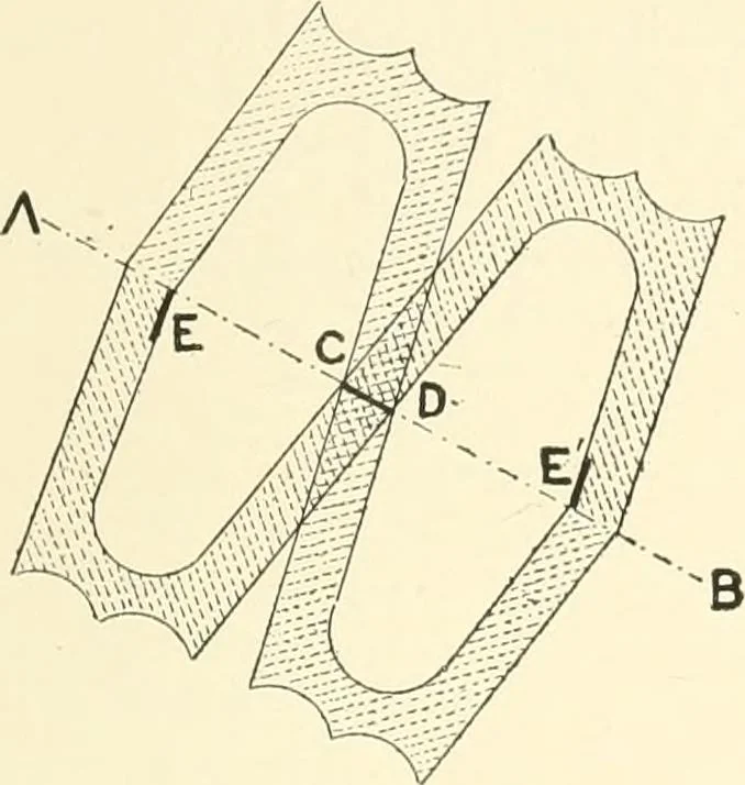 An illustration from Cretan pictographs and prae-Phoenician script. With an account of a sepulchral deposit at Hagios Onuphrios near Phaestos in its relation primitive Cretan and Aegean culture, 1895, leaf 64