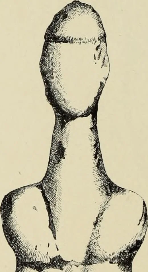 An illustration from Cretan pictographs and prae-Phoenician script : with an account of a sepulchral deposit at Hagios Onuphrios near Phaestos in its relation to primitive Cretan and Aegean culture, 1895, leaf 141