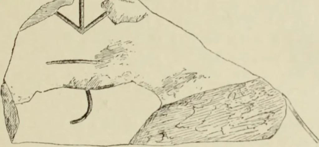 An illustration from Cretan pictographs and prae-Phoenician script : with an account of a sepulchral deposit at Hagios Onuphrios near Phaestos in its relation to primitive Cretan and Aegean culture, 1895, leaf 26