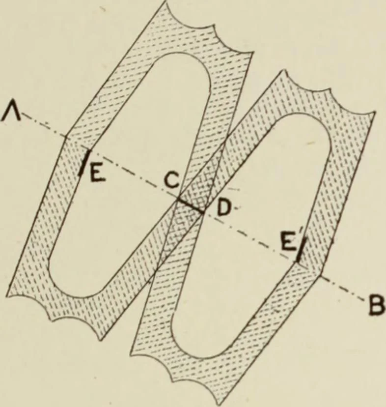 An illustration from Cretan pictographs and prae-Phoenician script : with an account of a sepulchral deposit at Hagios Onuphrios near Phaestos in its relation to primitive Cretan and Aegean culture, 1895, leaf 64