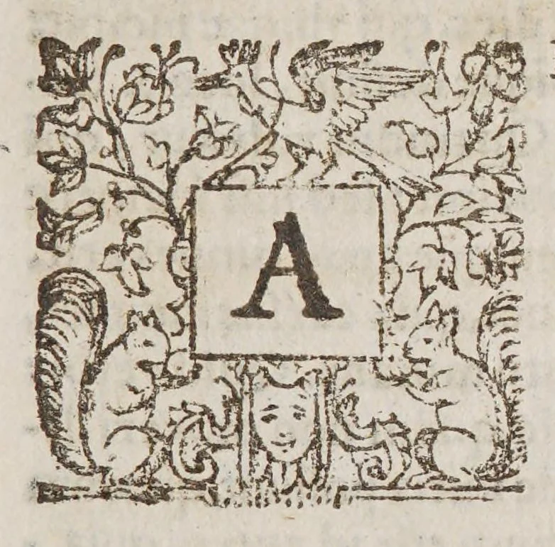 An illustration from Crisis, 1632, leaf 17