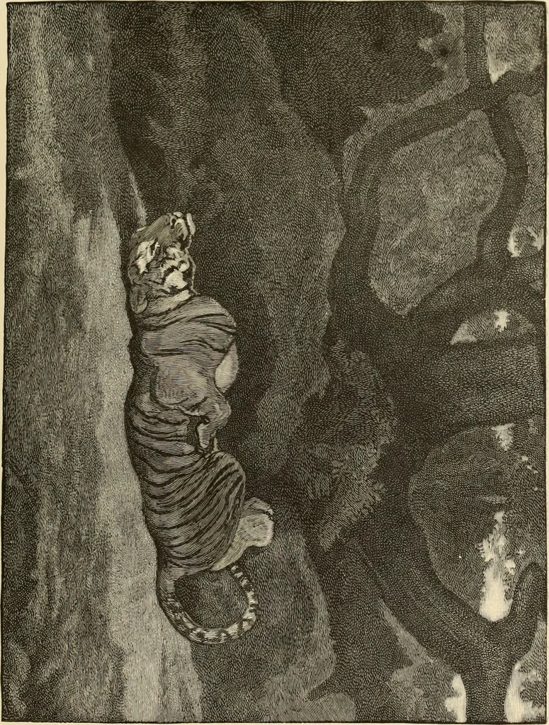 An illustration from Art and criticism : monographs and studies, 1892, leaf 226