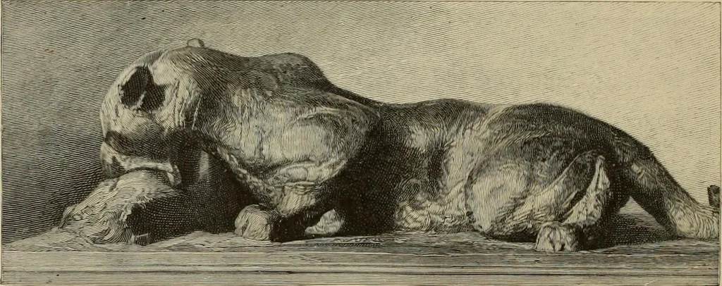 An illustration from Art and criticism : monographs and studies, 1892, leaf 231
