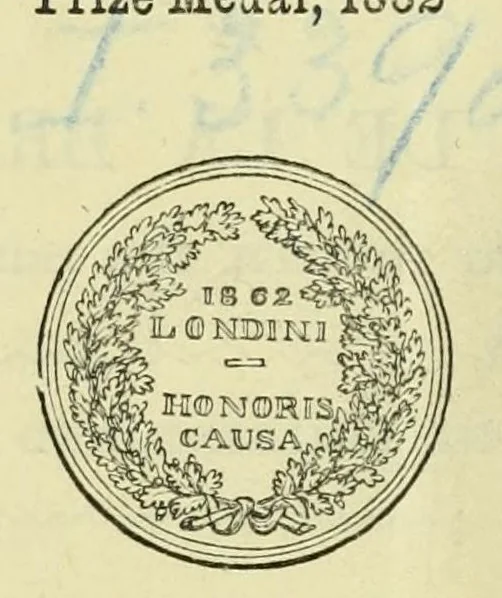 An illustration from The crochet book, seventeenth series, containing the prize medal antimacassars in raised crochet, 1870, leaf 8