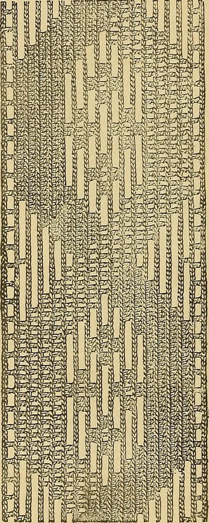 An illustration from Crochet series. No. 1-5, 1883, leaf 109