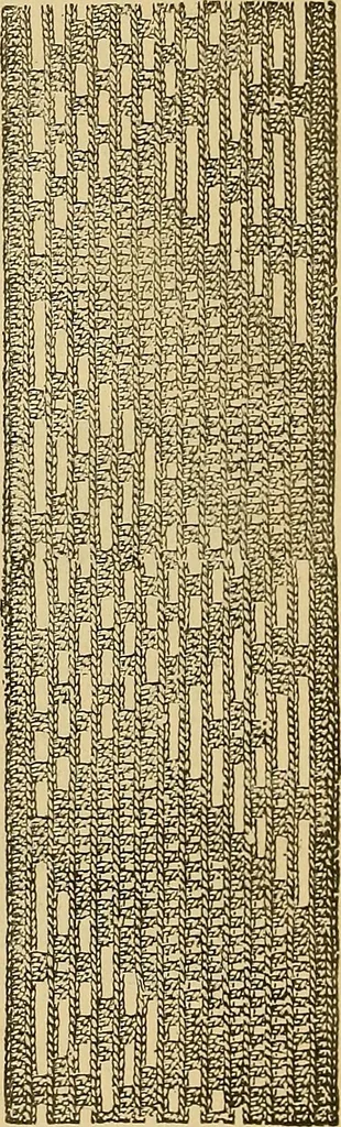An illustration from Crochet series. No. 1-5, 1883, leaf 109
