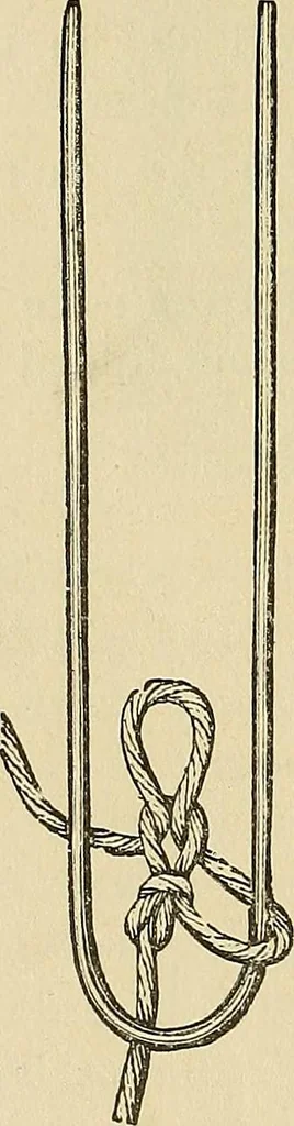 An illustration from Crochet series. No. 1-5, 1883, leaf 151