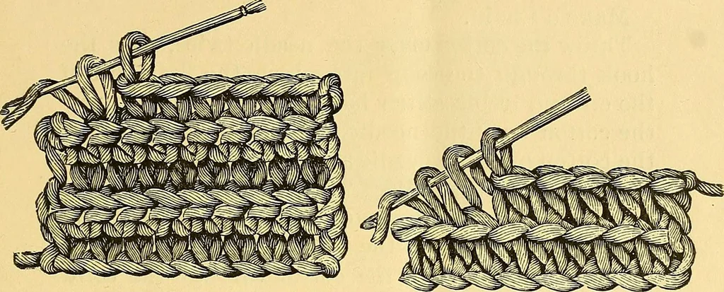 An illustration from Crochet series. No. 1-5, 1883, leaf 16