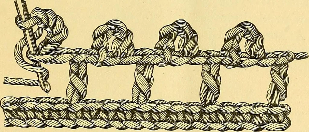 An illustration from Crochet series. No. 1-5, 1883, leaf 22