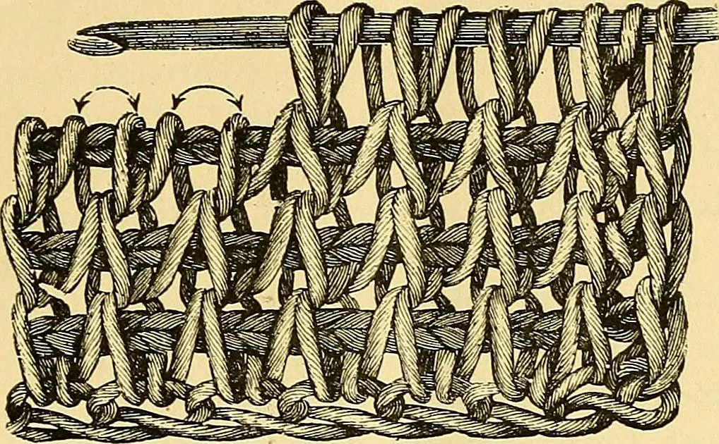 An illustration from Crochet series. No. 1-5, 1883, leaf 28