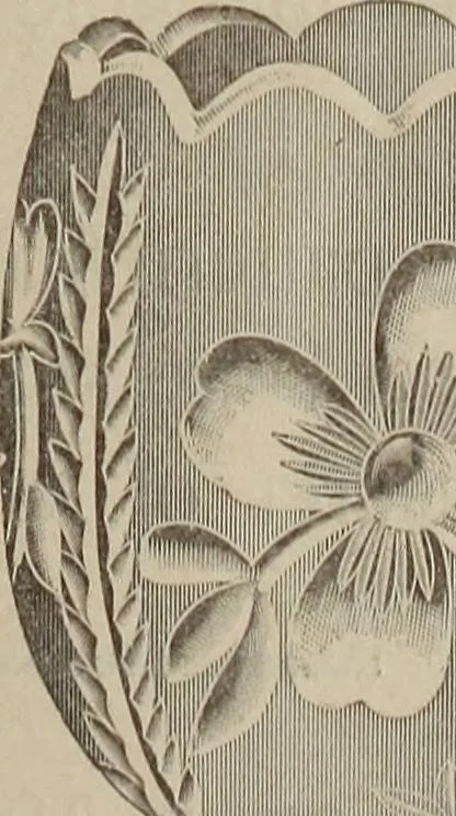 An illustration from Crockery & glass journal, 1875, leaf 412
