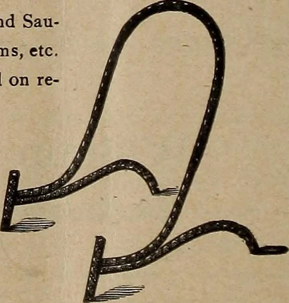 An illustration from Crockery & glass journal, 1875, leaf 535