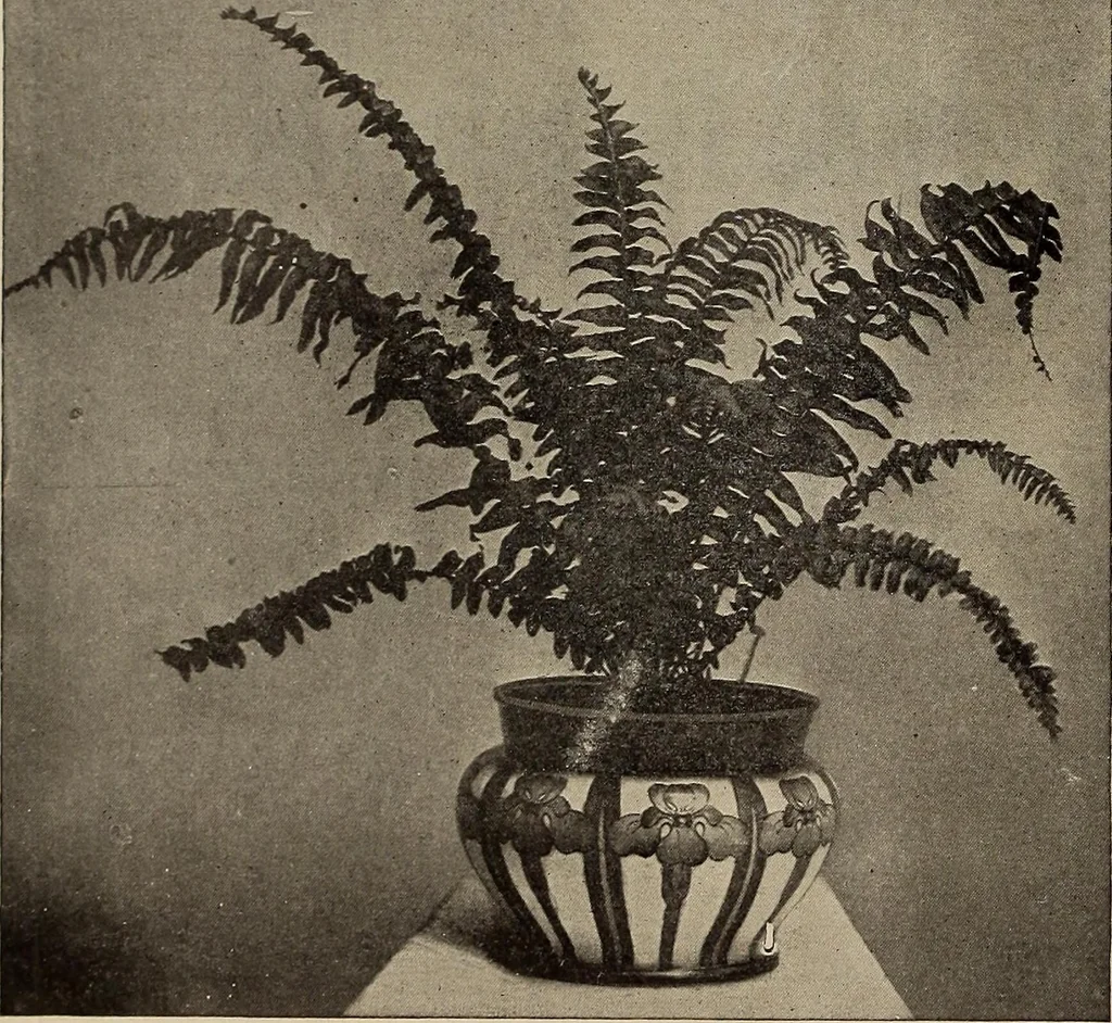 An illustration from Crockery & glass journal, 1875, leaf 11