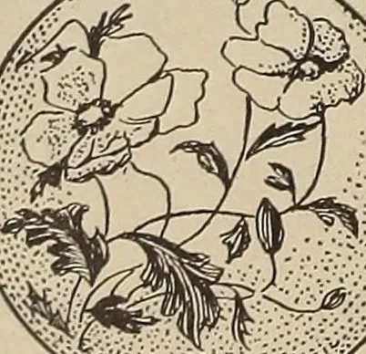 An illustration from Crockery & glass journal, 1875, leaf 35