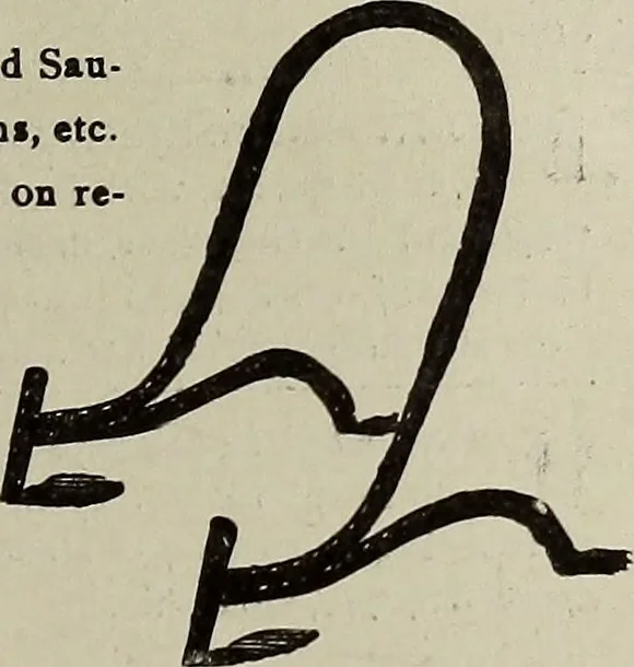 An illustration from Crockery & glass journal, 1875, leaf 172
