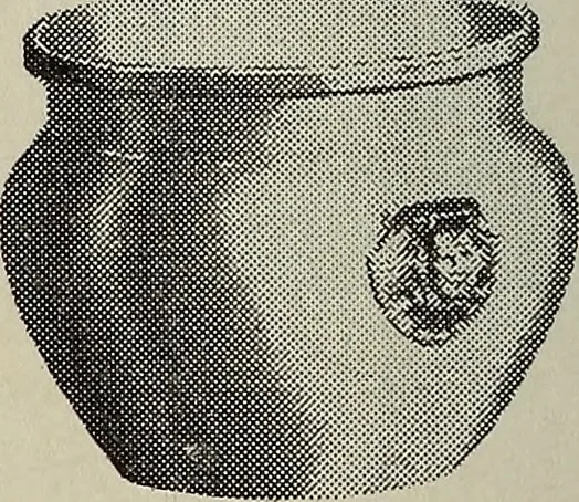 An illustration from Crockery & glass journal, 1875, leaf 317