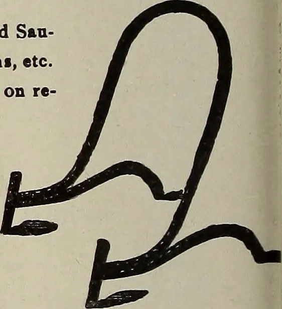 An illustration from Crockery & glass journal, 1875, leaf 317