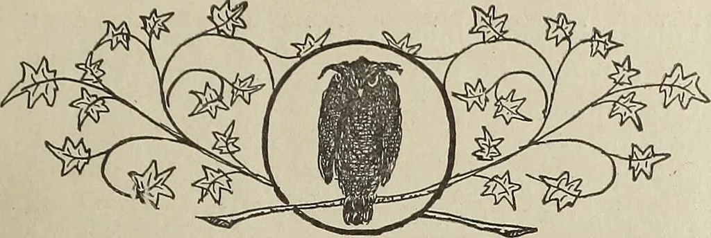 An illustration from Crockery & glass journal, 1875, leaf 14