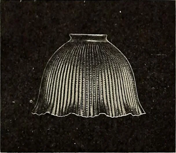 An illustration from Crockery & glass journal, 1875, leaf 493