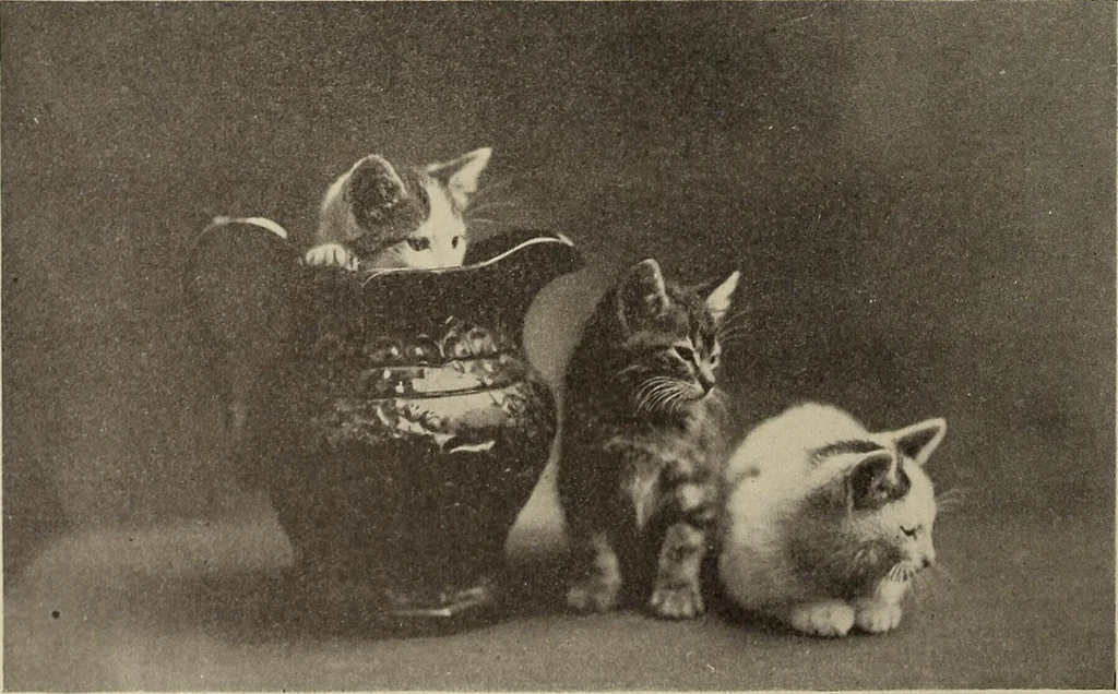 An illustration from Crockery & glass journal, 1875, leaf 593