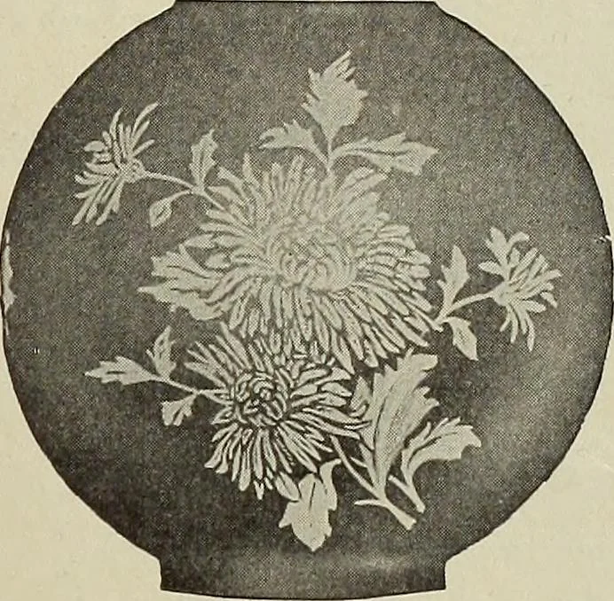 An illustration from Crockery & glass journal, 1875, leaf 634