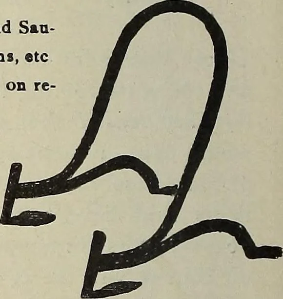 An illustration from Crockery & glass journal, 1875, leaf 95