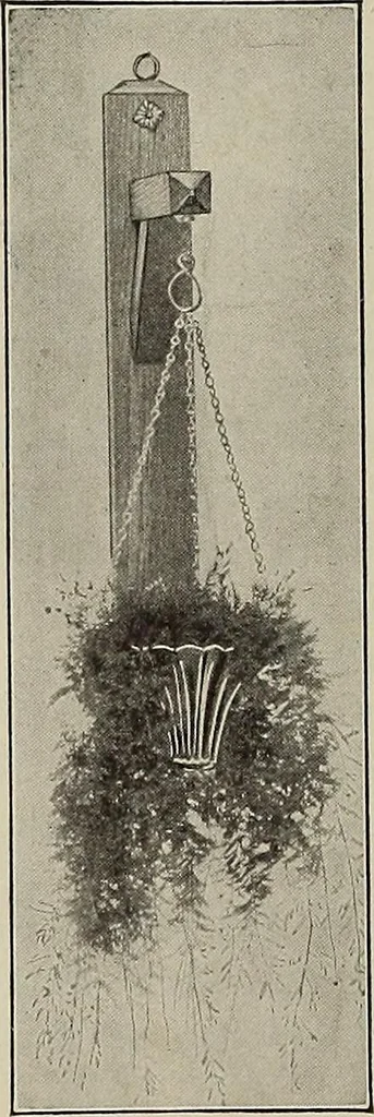 An illustration from Crockery & glass journal, 1875, leaf 111