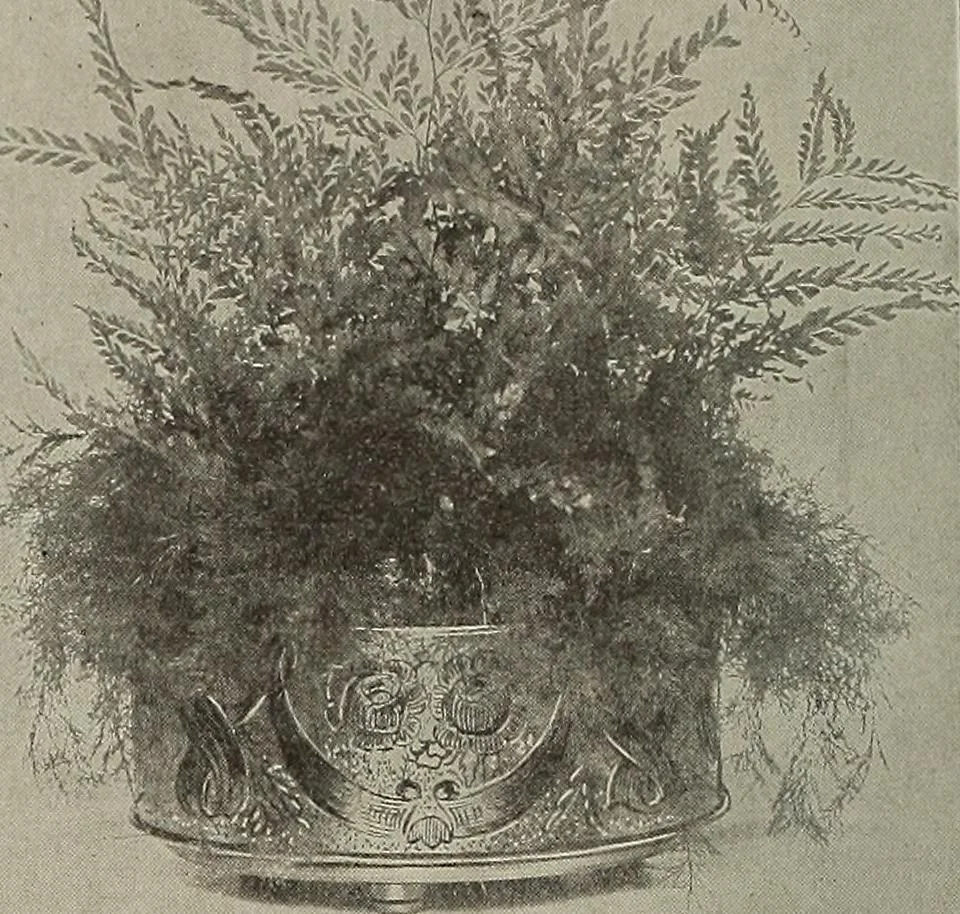An illustration from Crockery & glass journal, 1875, leaf 117