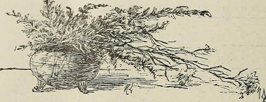 An illustration from Crockery & glass journal, 1875, leaf 341
