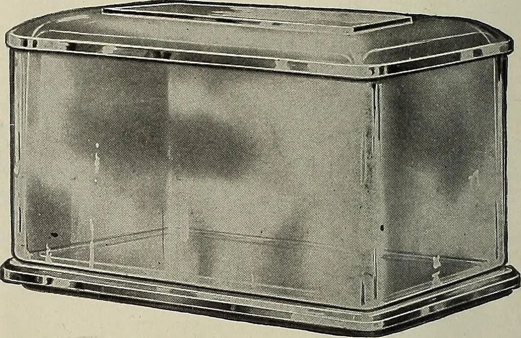 An illustration from Crockery & glass journal, 1875, leaf 411