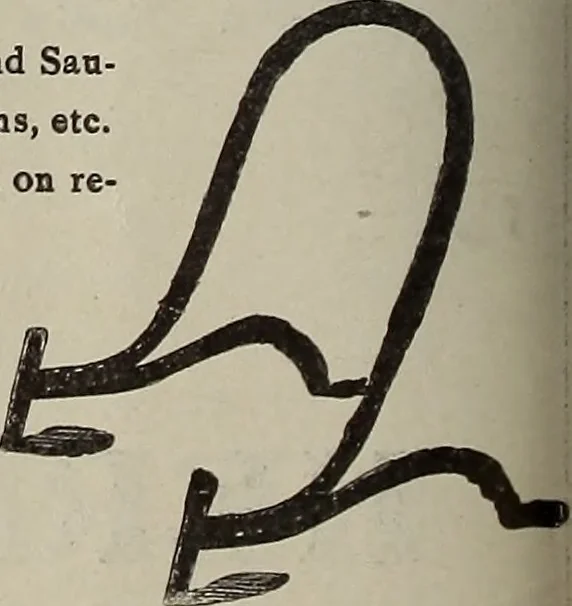 An illustration from Crockery & glass journal, 1875, leaf 273