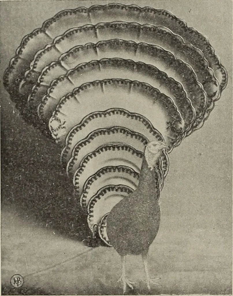 An illustration from Crockery & glass journal, 1875, leaf 319