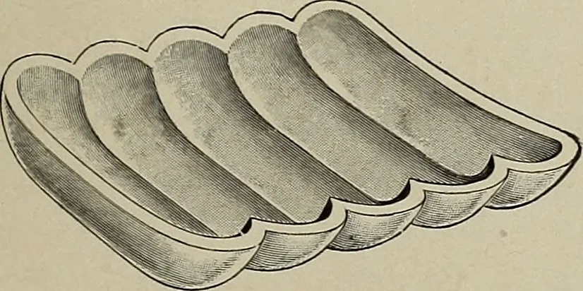An illustration from Crockery & glass journal, 1875, leaf 454
