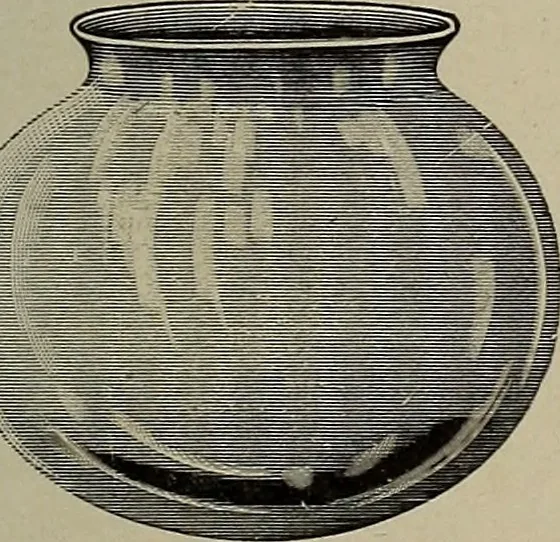 An illustration from Crockery & glass journal, 1875, leaf 454