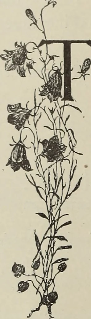 An illustration from Crockery & glass journal, 1875, leaf 485