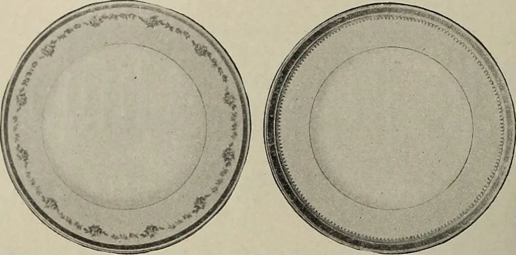 An illustration from Crockery & glass journal, 1875, leaf 495