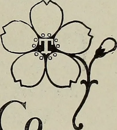 An illustration from Crockery & glass journal, 1875, leaf 620