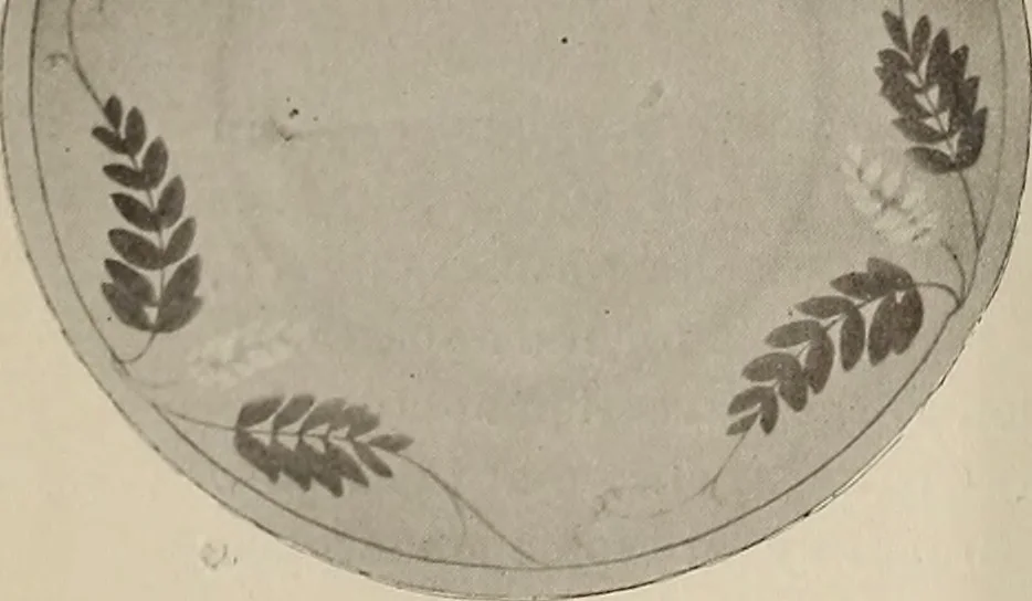 An illustration from Crockery & glass journal, 1875, leaf 9