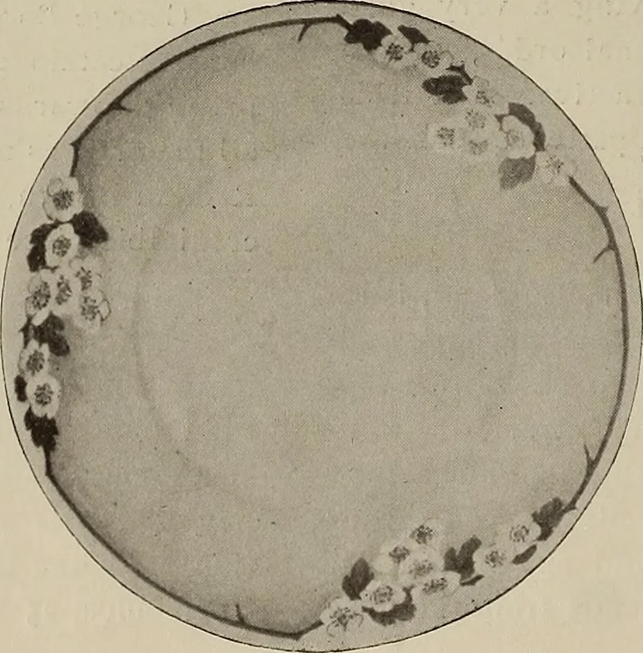 An illustration from Crockery & glass journal, 1875, leaf 9