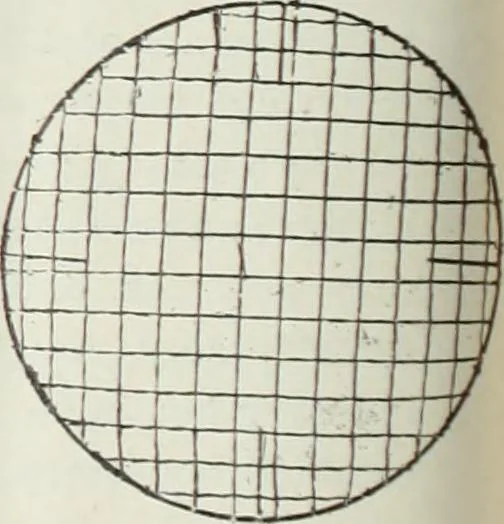 An illustration from Crockery & glass journal, 1875, leaf 403